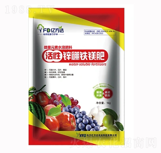 �����\���F�V��-���r����