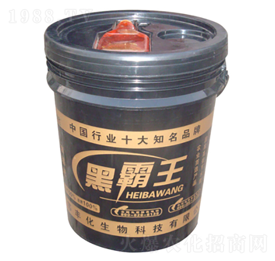 �ڰ���1̖-�S��