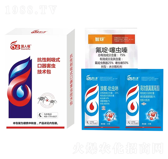 ���Դ���ʽ���x���g(sh��)��-���˸�