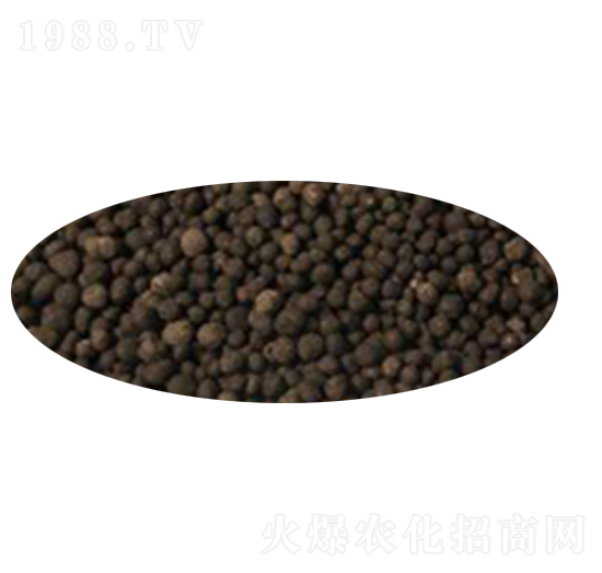 �w���ЙC(j��)��-���N����