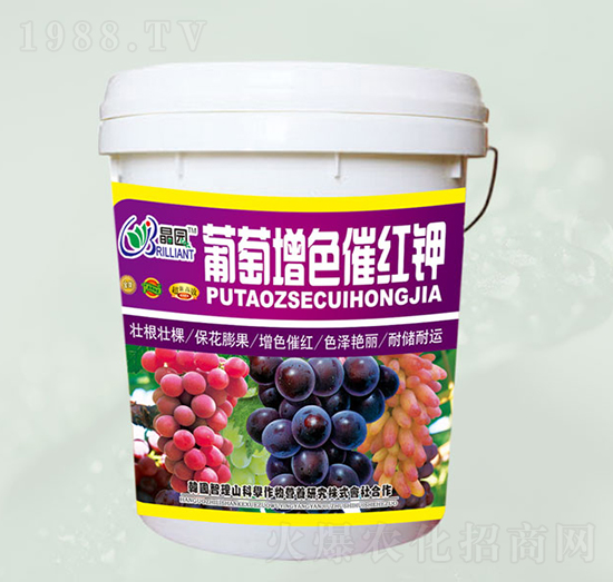 ������ɫ�߼t�-���@����