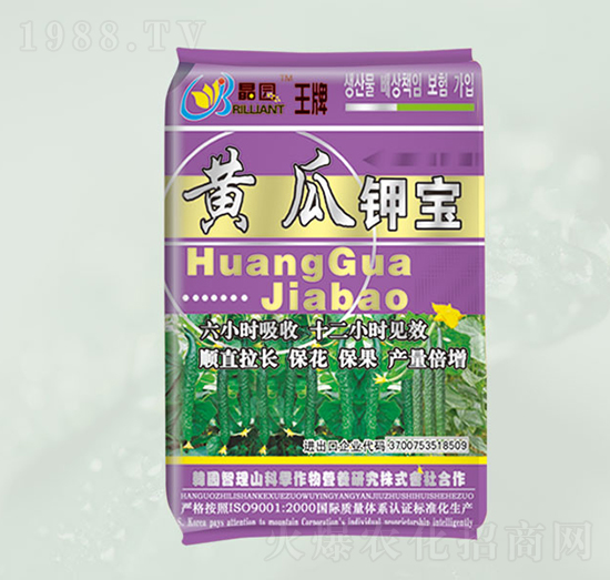黃瓜鉀寶-晶園肥料