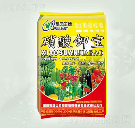 ����⛌�-���@����