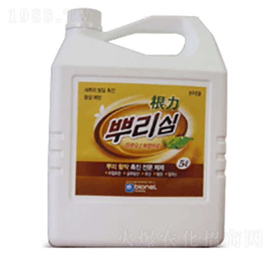 根力-優(yōu)卡思