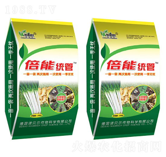 倍能統(tǒng)管-凱利爾