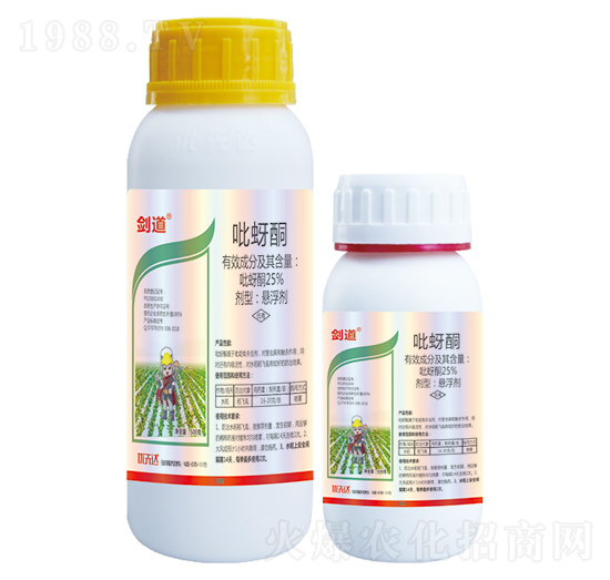 25%����ͪ-����-��(y��u)���_