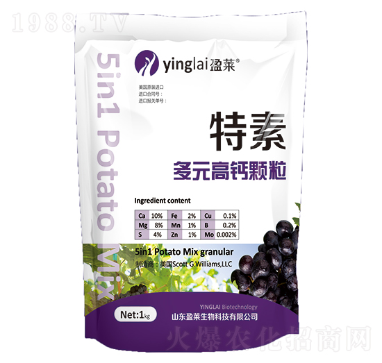 ��Ԫ���}�w��-����-ӯ�R����