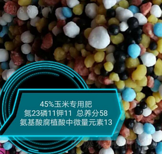 ���׌��ð����ḯֲ����΢��Ԫ��23-11-11-���r�r�I(y��)