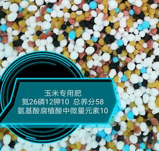 ���׌��ð����ḯֲ����΢��Ԫ��26-12-10-���r(n��ng)�r(n��ng)�I(y��)