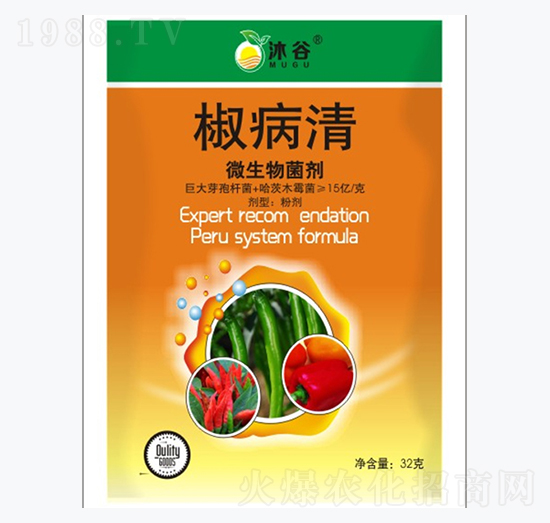 ΢�������-������-�������