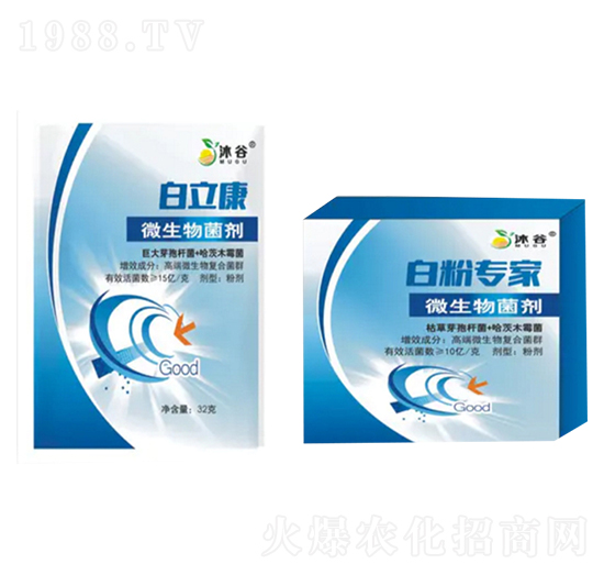 ΢�������-������-�������