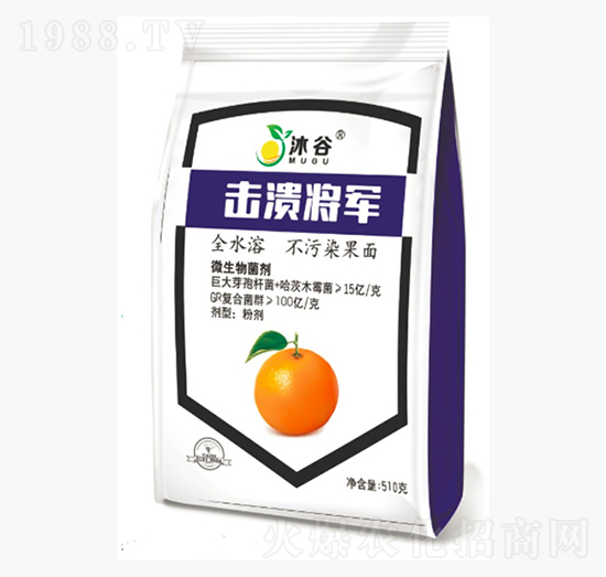 ΢�������-������܊-�������