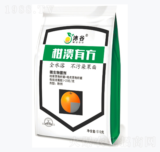 ΢�������-�̝��з�-�������