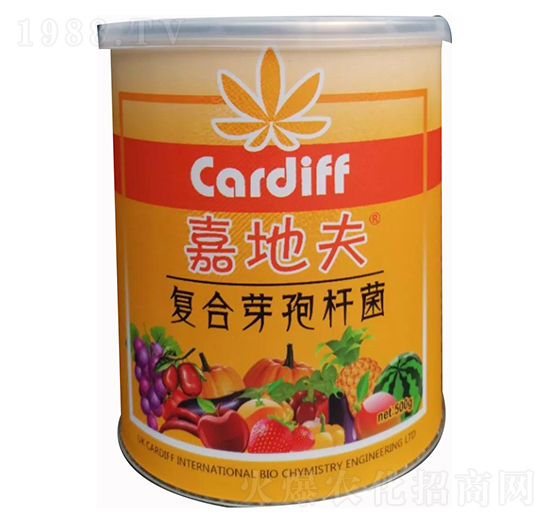 �ͺ�ѿ�ߗU��-�εط�