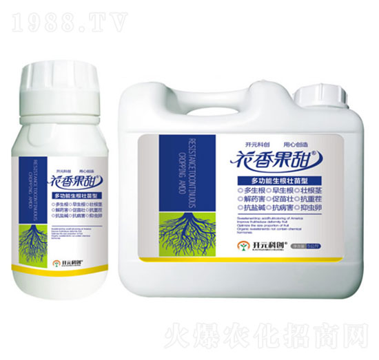 多功能生根壯苗型-花香果甜-科美植物