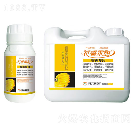 香蕉專用-花香果甜-科美植物