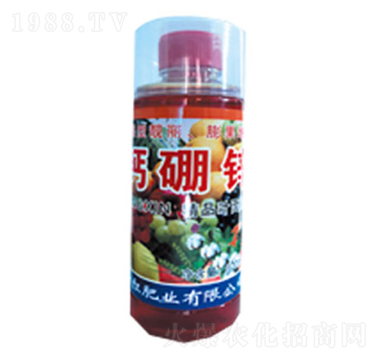 �}���V-�|���t