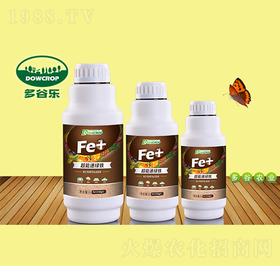 �����پG�F-��Ș�