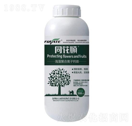 ͬ��혾ۺ��x���}�V-������