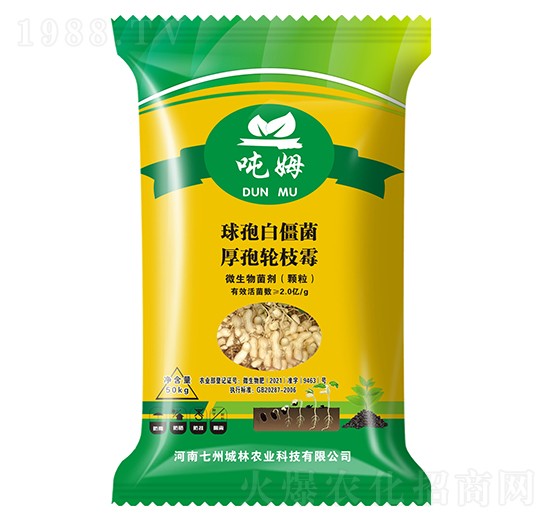 �����طN��-��ķ-���ݳ���