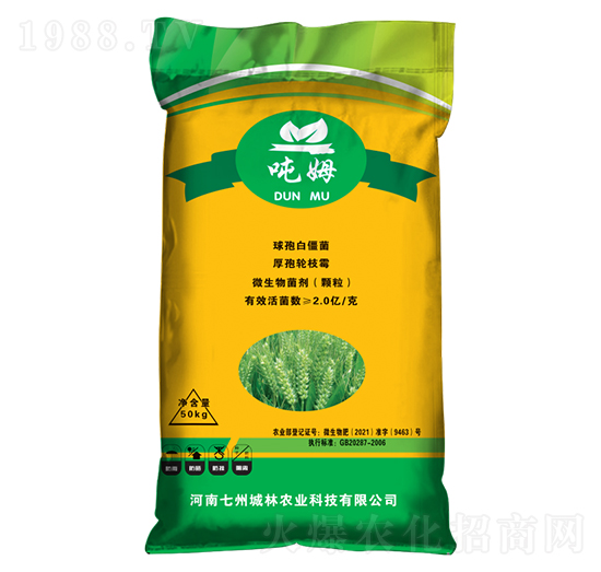 ��ʮ��С���������طN��-��ķ-���ݳ���