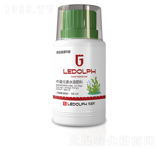 藻朊酸果不裂-樂(lè)道夫