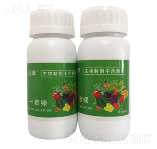 һҹ�G-�r(n��ng)����