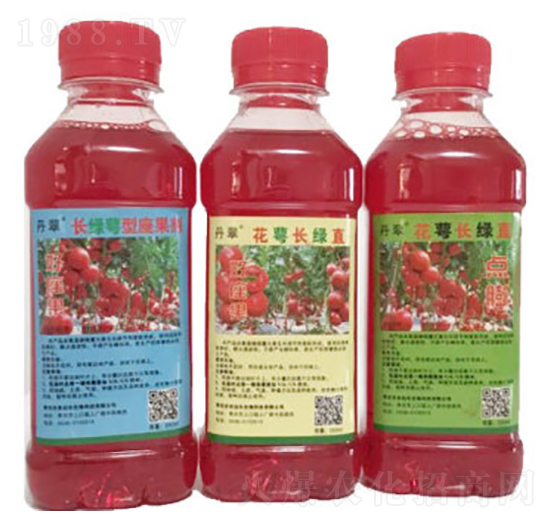 �����L(zh��ng)�Gֱ-�r(n��ng)����(l��)