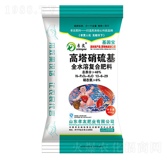 ���������ȫˮ�܏�(f��)�Ϸ���13-6-29-Т��