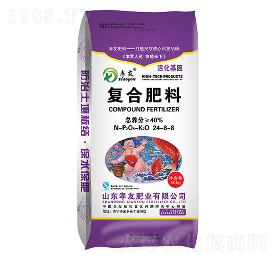 ��(f��)�Ϸ���24-8-8-Т��