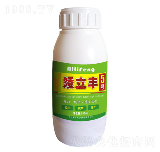 矮立豐5號-禾植豐