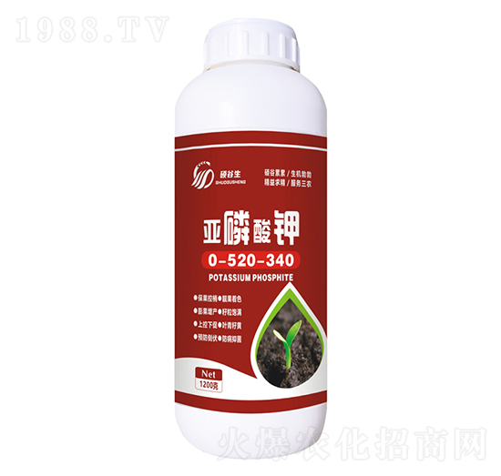 1200g�������0-520-340+TE-�Ǿ�����