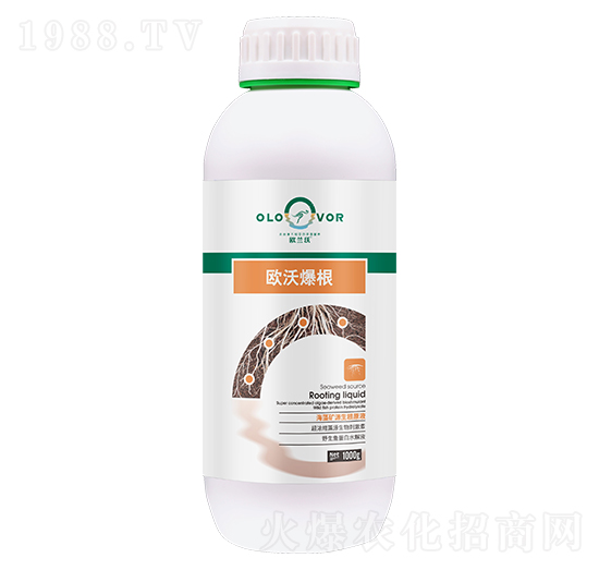 �W�ֱ���-�W�m��