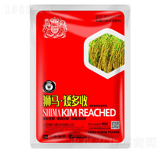 �{�R������-�{�R�ʘI(y��)