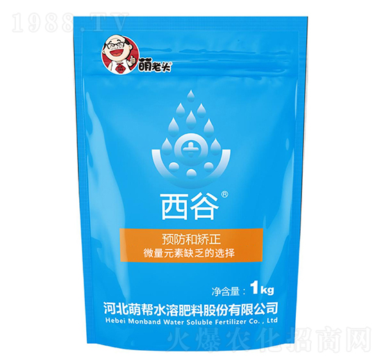 ����-�Ȏ�