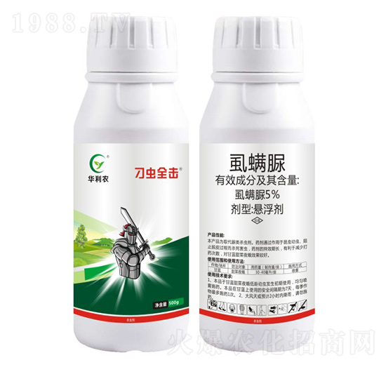 5%ʭ����-���xȫ��-�A���r