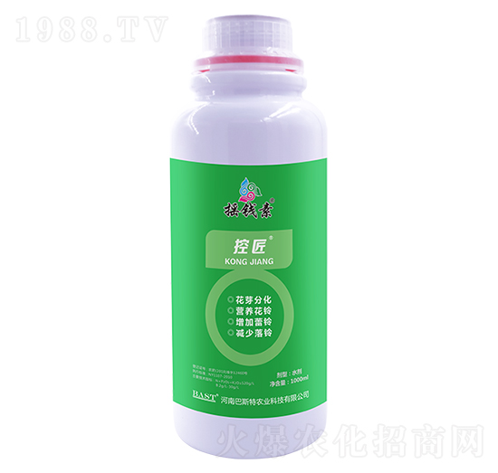 �ؽ�-�u�X������