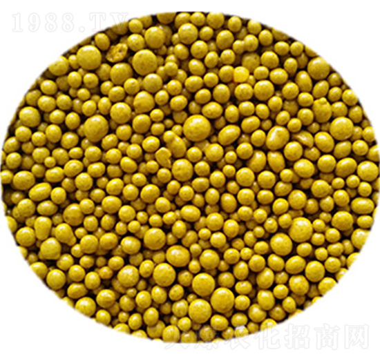 ����(f��)�Ϸ�-������