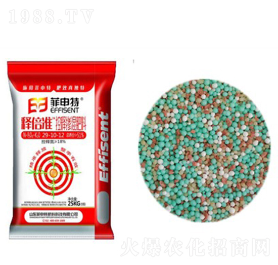 ��ጓ������29-10-12-ጱ���-������