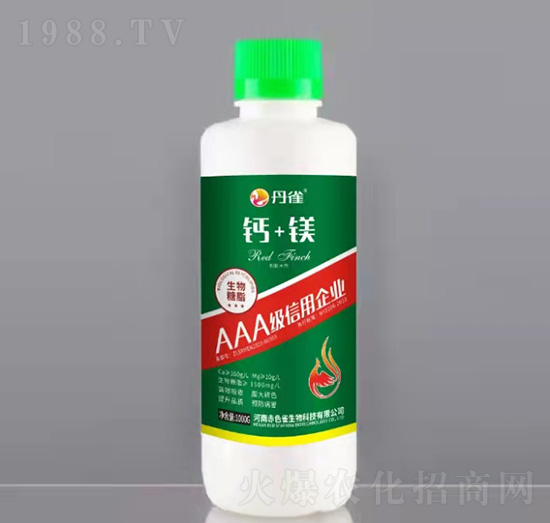 �}+�V-��ȸ