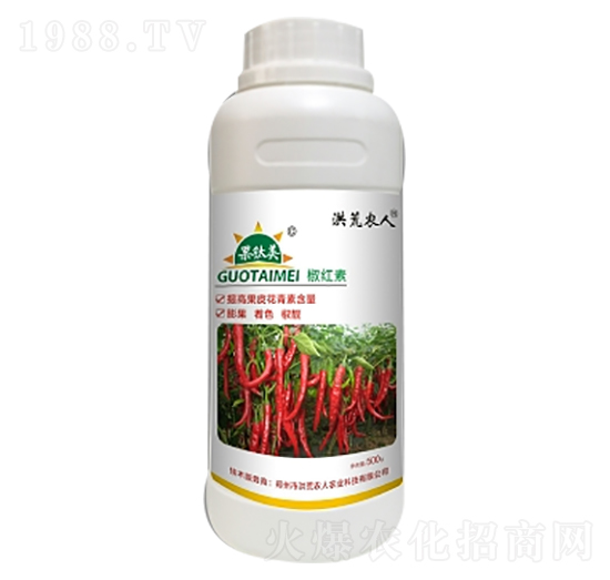 �������t��-����r��