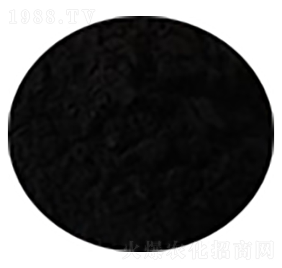 ��ֳ���@-ʢ��������