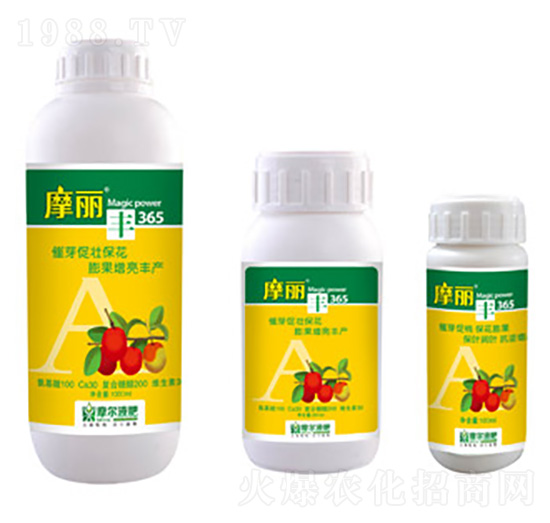 Ħ���S-ħ��Һ��