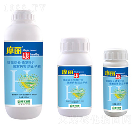 Ħ����-ħ��Һ��