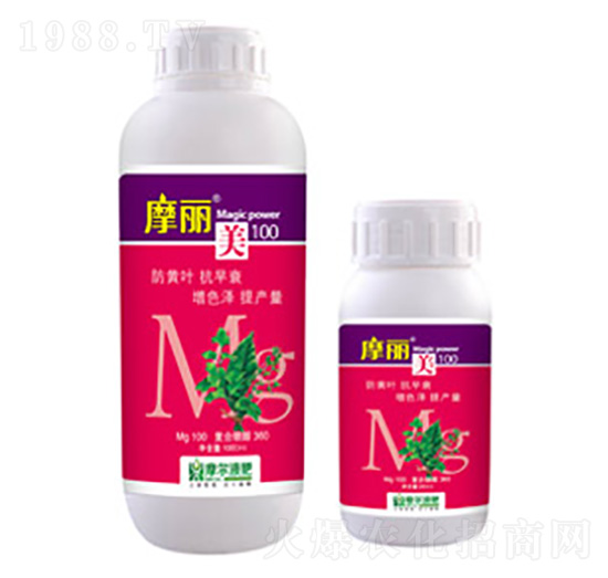 Ħ����-ħ��Һ��