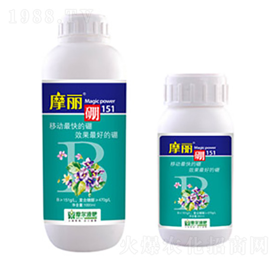 Ħ����-ħ��Һ��