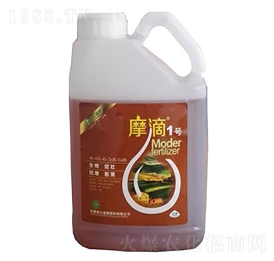 Ħ��1̖-ħ��Һ��