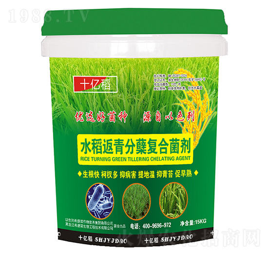 水稻返青分蘗復(fù)合菌劑-十億稻-希碧萊生物