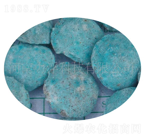 �ؙ������ؘ��-�����Ƽ�