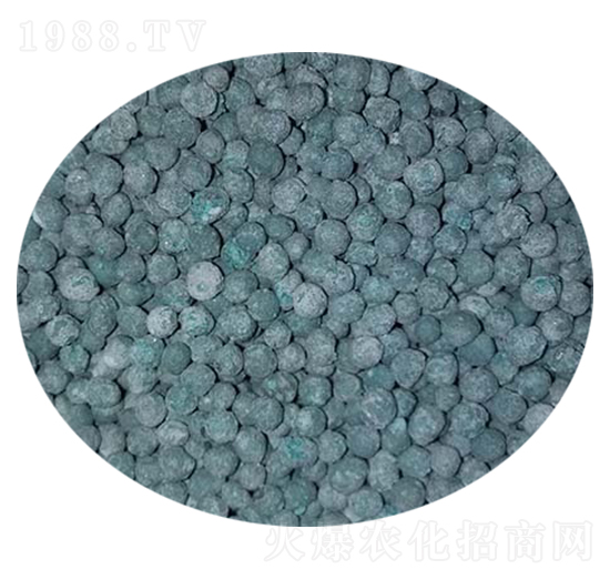 �~�\��10-10-5-�Ŷ�-�����Ƽ�